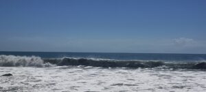 IMG20250206102922
