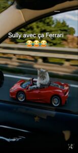 Screenshot_20250822_160351_TikTok