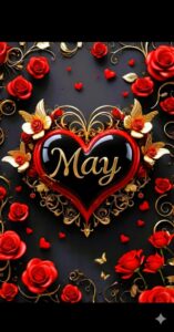 IMG_20260210_142907-1