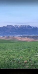 Screenshot_20260215_090956_TikTok