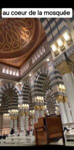 Screenshot_20260218_150646_WhatsApp