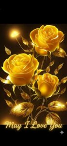 Screenshot_20260318_071342_Gallery