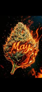 Screenshot_20260327_080735_Gallery