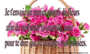bouquet-de-fleurs-a-envoyer-par-sms_9